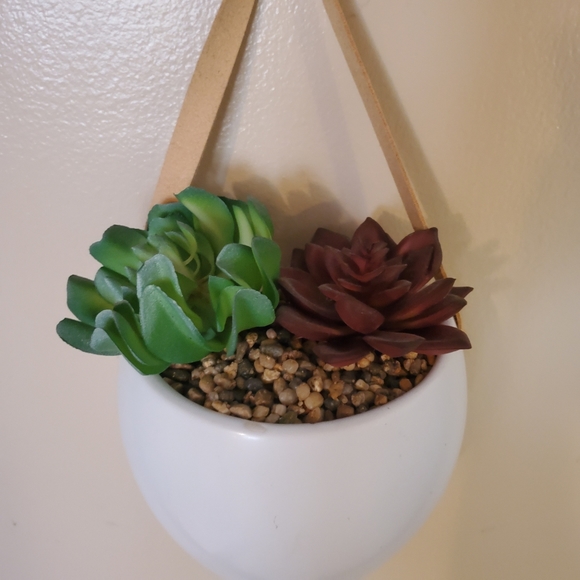 Faux Succulent Hanging Planter - Picture 3 of 6